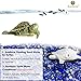 SunGrow Floating Food Sticks for Aquatic Turtles
