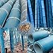 Trenton 50Pcs Rare Blue Bamboo Seeds Beautiful Home Garden Decorative Tree Herb Plant