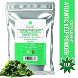Organic Kelp Powder 1 Pound, Wholefood Dietary Supplement, Raw Sun-Dried Kelp Seaweed from Canada, 100% Pure, Non-GMO, Gluten-Free & Kosher