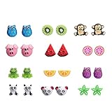 12 Style Resin Cute Animals Fruit Stud Earrings Set For Kids Girls Hypoallergenic Nickel free