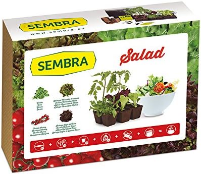 Sembra Big Kit Cultivo, 25.5x33.5x9 cm: Amazon.es: Jardín