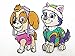 2pc Paw Patrol Skye & Everest Embroidered Patch Iron on Applique Patch