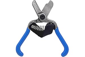 Zenport H322 Fruit Shears/Lemon Citrus Clippers with Strap, Forged Stainless Steel, 5.5-Inch Long