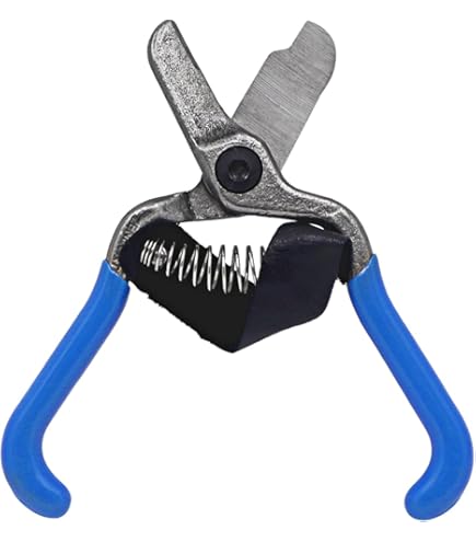 Amazon.com : Zenport H325 Fruit Shears/Avocado Clippers, Forged