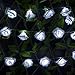 20 Led Battery Operated String Premium Romantic Flower Fairy Rose Light Lamp Outdoor for Room, Valentine's Day, Wedding, Christmas, Patio, Garden, Festival Party Decor (Cold White)