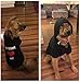 EXPAWLORER Dog Hoodies- Fall Soft and Warm Dog Sweatshirt with Leash Hole, Winter Autumn Fleece Pet Clothes with Love ME Print for Puppy,Cat, Small Medium Large Dogs