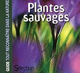 Plantes sauvages - Guide tout reconnaître dans la nature (French Edition) by 