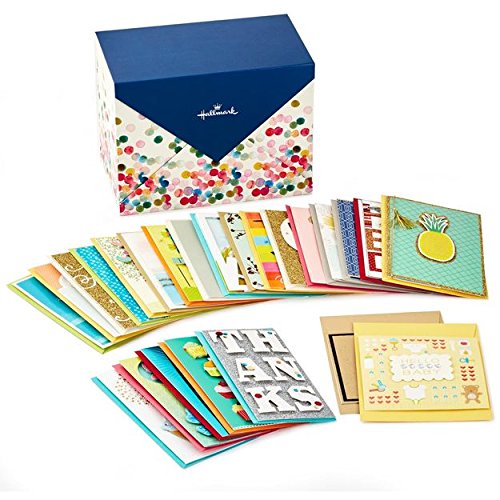 Hallmark Assorted Everyday Cards Organized in Storage Box, Box of 24