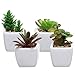 Set of 4 Small Green Plastic Artificial Succulent Plants in Mini Modern White Ceramic Planter Pots