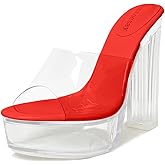 Fantoesay Women's Clear Platform Sandals Chunky Heel Mules Slip On Sandals