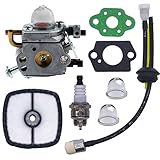 FitBest Carburetor with Fuel Line Kit Air Filter for C1U-K78 Echo PB200 PB-200 PB-201 PB201 ES-210 A021000941 A021000942 Power Blower