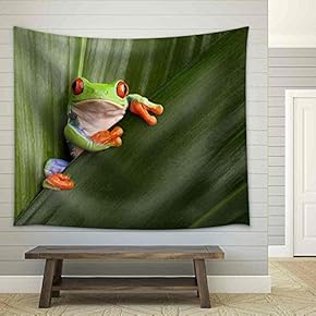 Curious Red Eyed Tree Frog Hiding in Green Background Leaves - Fabric Wall Tapestry Home Decor - 51x60 inches