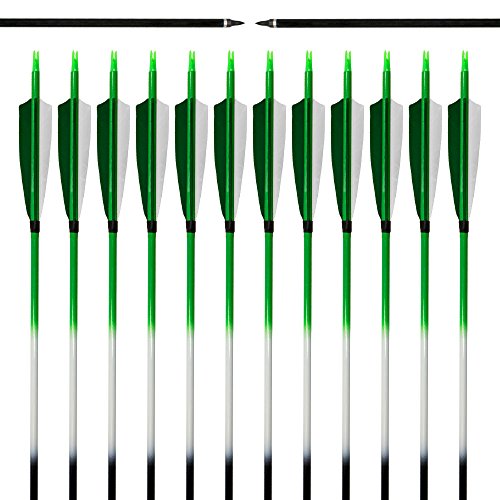 Archery sharly 31" Carbon Practice Targeting Arrows,5" Natural Feather Arrows with Screw-in Tips for Recurve Traditional and Long Bow(12 Pack) - Thumbnail 6