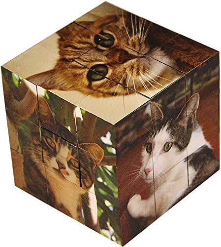 Cool Cats Jigsaw Puzzle Cube - 27 Piece Jigsaw - 3 in 1 Brain Teaser Puzzles
