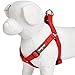 Blueberry Pet Essentials Step-in Dog Harness, Small Size | Adjustable Rouge Red Vest | Classic Solid Nylon for Boy & Girl Dogs, Chest Girth 16.5