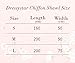 Dressystar Chiffon Bridal Evening Shawls Scarves Many Colors Available S Blush