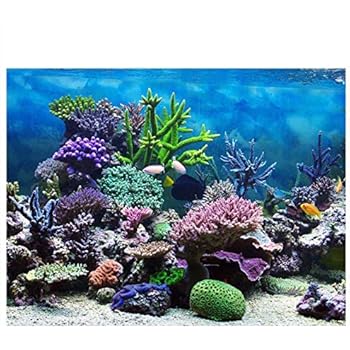 Amazon Com Penn Plax Spongebob Squarepants Beach Aquarium