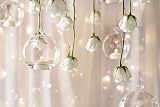 Bolsius White Floating Candle 20 Pack - 4.5 Hour Burn - Vegan Wax view 8