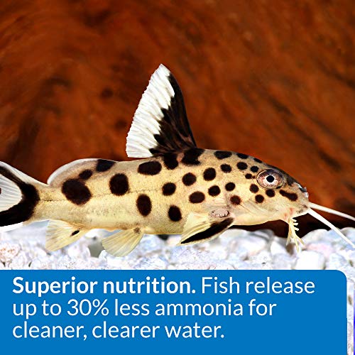 Api Bottom Feeder Shrimp Pellets Fish Food Container 232 G Buy