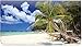Beachfront Views Personal Leather Checkbook Cover for Top Tear Personal Checks
