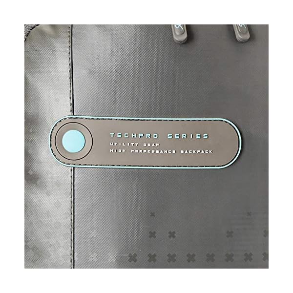 Skybags Aztek Pro 20 cms Grey Laptop 