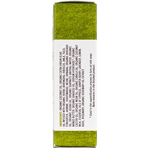 Chagrin-Valley-Soap-Salve-Organic-Natural-Shampoo-Bar-Ayurvedic-Herb-2X-Pack