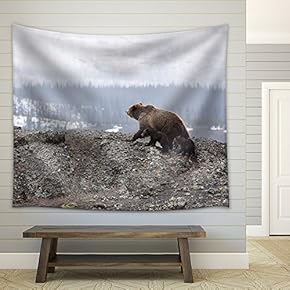 Wild Bear with Two Babies in The Mountain - Fabric Wall Tapestry Home Decor - 51x60 inches