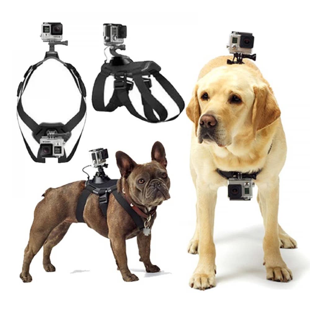 GoPro Dog Harness - Soft, Adjustable for Large, Medium & Small Dogs - Chest & Back Mount for All GoPro Hero Models