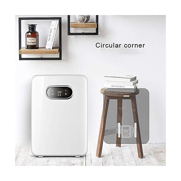 YANJ Portable Mini Fridge 12v 220v,Electric Cool Box Car refrigerator,Home And Car Dual Use Refrigeration And Heating Dual Use 20L Capacity 220V/12V LOLDF1