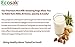 #1 Rated Nut Milk Bag - Premium Food Grade 10