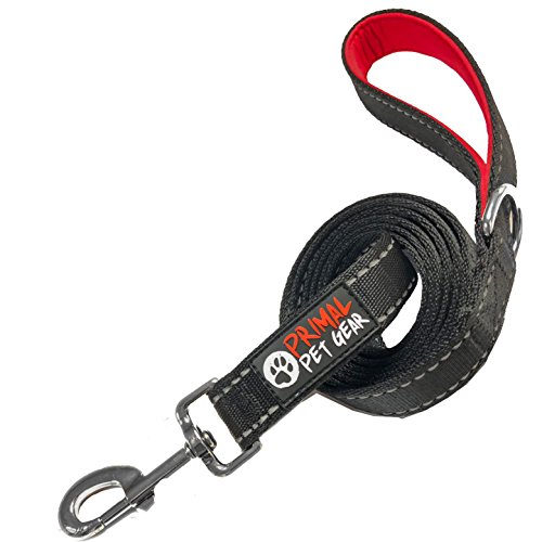 Primal Pet Gear Dog Leash - Extra Heavy Duty - Thick 3mm Nylon - 6ft Long - Premium Quality - 1" Wide - Reflective - Padded Handle - Perfect for Large - Medium or Strong Small Dogs - Lightweight