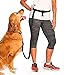 The Buddy System Adjustable Hands Free Dog Leash, Hand-Free Leash for Running, Jogging, Walking, Hiking and Training Service Dogs, Versatile All Dog Sizes - Made in USA - Regular, Black