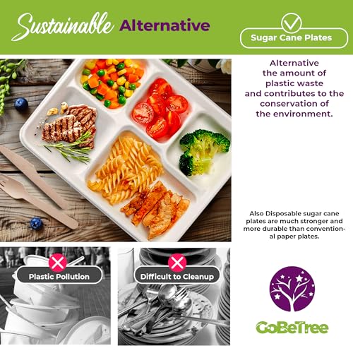 GoBeTree 100 x 26cm Disposable Plates with 5 Compartments Sugarcane Plates Heavy Duty Disposable Tableware White