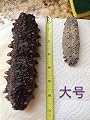 Sun Dried Wild Sea Cucumber(large size) 1LB,Isostichopus Badionotus, Grade A