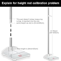 2-in-1 Height and Weight Scale for Children