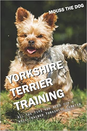 YORKSHIRE TERRIER TRAINING: All the tips you need for a well-trained Yorkshire Terrier �y�[�p�[�o�b�N  - 2018/11/7