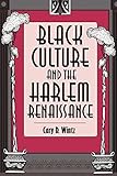 Black Culture and the Harlem Renaissance by