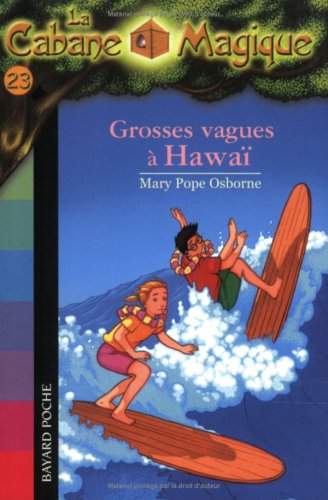 Grosses vagues à Hawaï