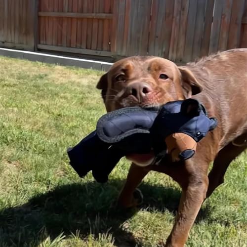 Unbreaka Bear 2.0, Jouet pour Chien 25 cm ,Jouets pour Chiens, Jouets Interactifs pour Chiens, Jouet pour Chien Ours Indestructible, Peluche pour Chien Toutes Tailles et Tous Âges, Emballage boîte (A)