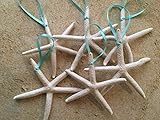 Starfish Ornaments