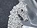 Alilang Aurora Borealis Crystal Rhinestone Seahorse Fish Convertible to Pendant Animal Brooch Pin, Clear