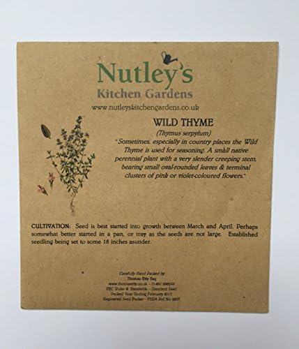 Nutley's Thomas Etty Creeping Wild Thyme Seeds