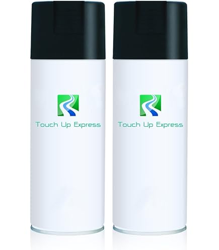Amazon.com: Touch Up Express Paint for Nissan 300ZX 732
