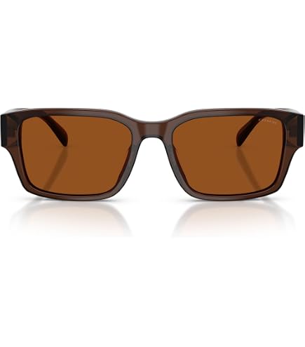 Amazon.com: Coach Sunglasses HC 8328 U 500287 C6196 Black Dark