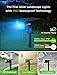 LITOM 12 LED Solar Landscape Spotlights, IP67 Waterproof Solar Powered Wall Lights 2-in-1 Wireless Outdoor Solar Landscaping Light for Yard Garden Driveway Porch Walkway Pool Patio 2 Pack Multicolored
