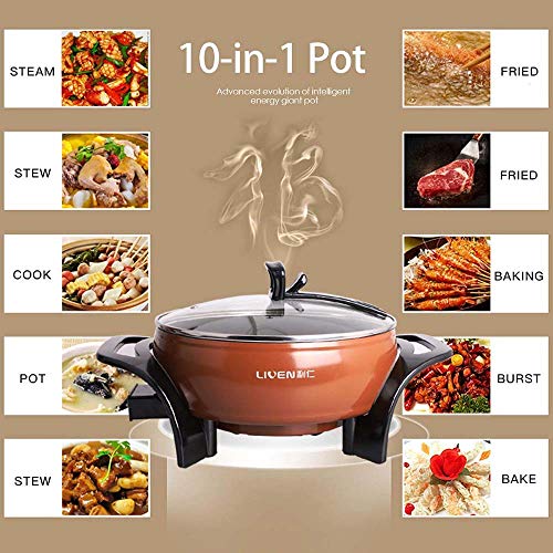 Liven 3L Electric Shabu Shabu Hot Pot, Mongolian Hot Pot, Cast Aluminum Pot Body with Non-stick Surface Diameter 22cm Depth 8.0m 1350W