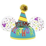 Disney Parks Its My Birthday Mickey Mouse Ears Hat