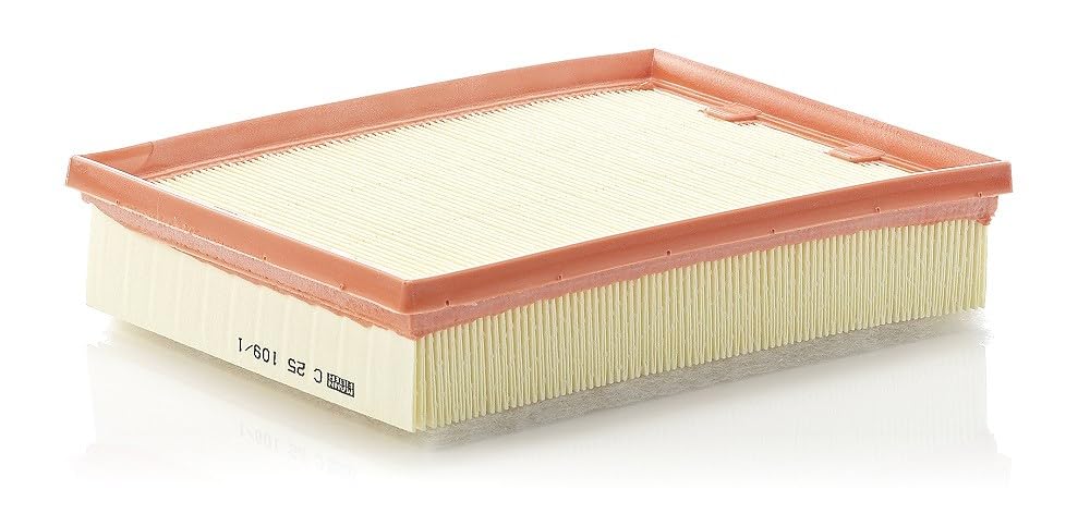 MANN-FILTER C 25 109/1 Air Filter - for Cars + Transporters
