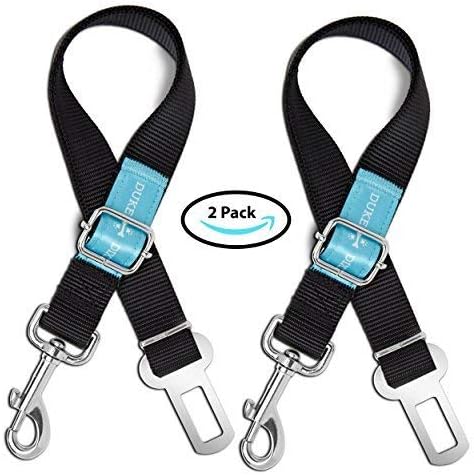 best dog seat belt 2019