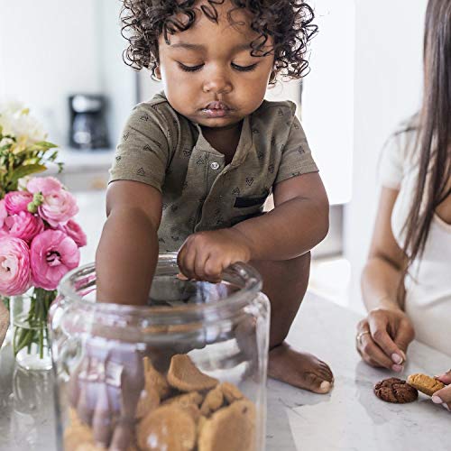 Partake Crunchy Cookies - Chocolate Chip | 4 Boxes | Vegan & Gluten Free | Free of Top 8 Allergens- Dairy Free, Nut Free, Egg Free, Wheat Free, Soy Free, Fish Free | 5.5 Oz | 15 Cookies Each